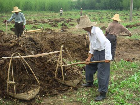 自制有機(jī)肥.jpg