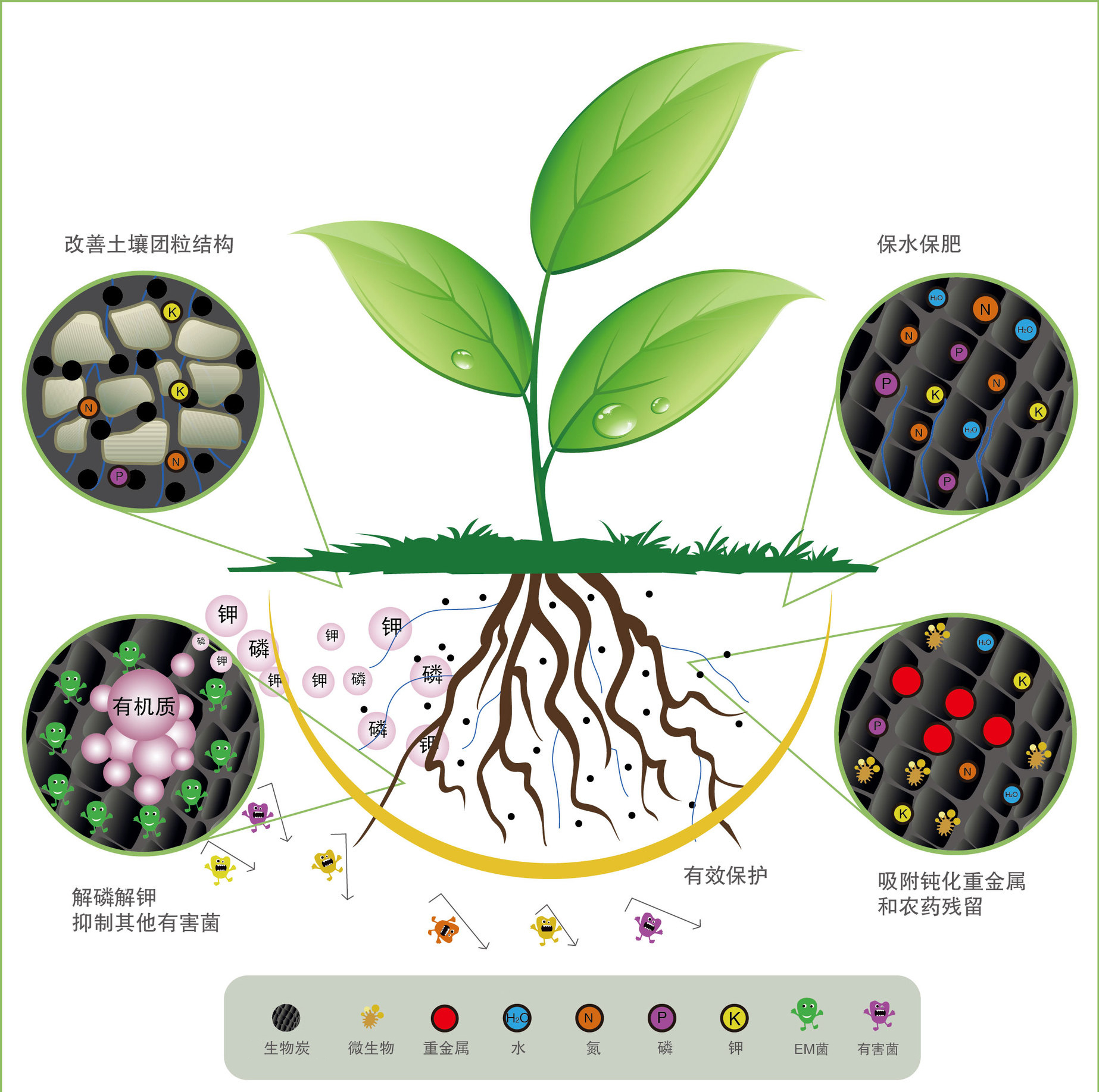 肥料新技術(shù)！如金菌助力生產(chǎn)微生物活性炭！